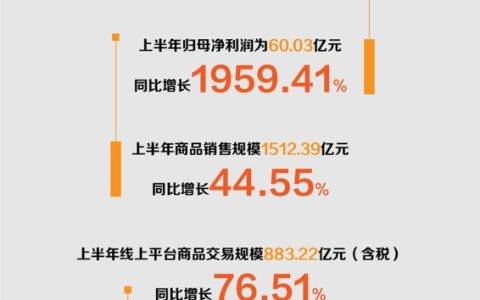 苏宁易购半年报出炉：营收1107亿元同比大增32% 归母净利润突破60亿