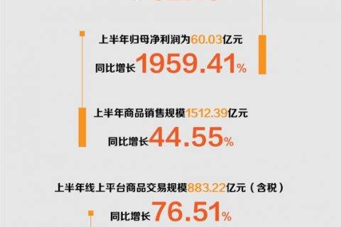 苏宁易购半年报出炉：营收1107亿元同比大增32% 归母净利润突破60亿