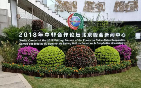 中非论坛再掀非洲旅游热 皇包车旅行破解深度体验难题