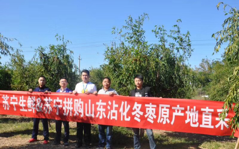 一周横跨3000公里，解读双十一苏宁拼购的生鲜战略