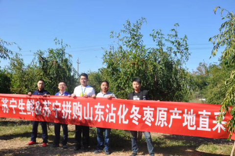 一周横跨3000公里，解读双十一苏宁拼购的生鲜战略