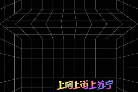 双十一“手忙脚乱” 大爷大妈参与苏宁嘉年华