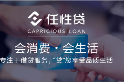 频频牵手外部平台，苏宁金融任性贷双十一积极布局双线引流