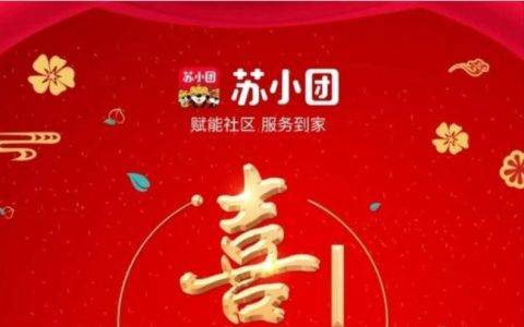 全年10万名团长招募目标，苏宁小店宣布半年完成