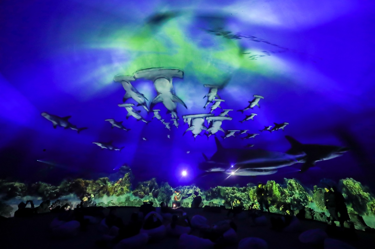 中嘉携手美国国家地理打造“深蓝之境”沉浸式海洋环保艺术展