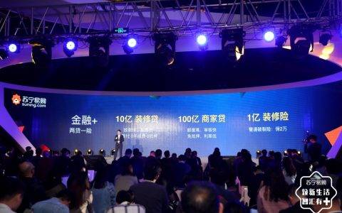 苏宁85后总裁柳赛：做未来的“造风者”