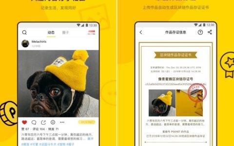 像素蜜蜂：打造原创内容社区，区块链助力版权保护