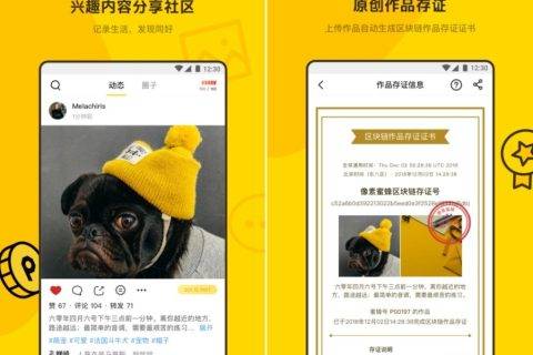 像素蜜蜂：打造原创内容社区，区块链助力版权保护