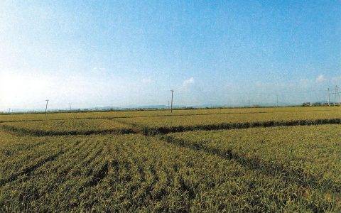 一场旷日持久的暑热后 空调在东北市场走俏