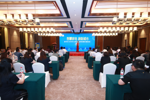 618响起滁州枪声 家电第一苏宁启幕“城市购”