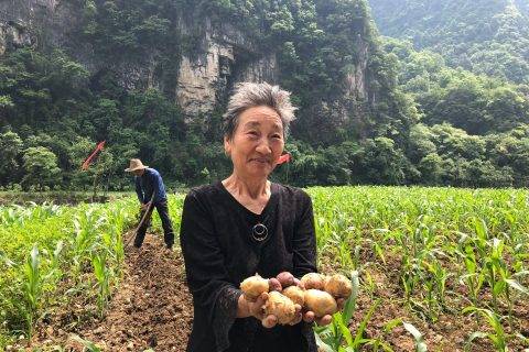 电商平台联动农户，打造苏宁特色扶贫模式