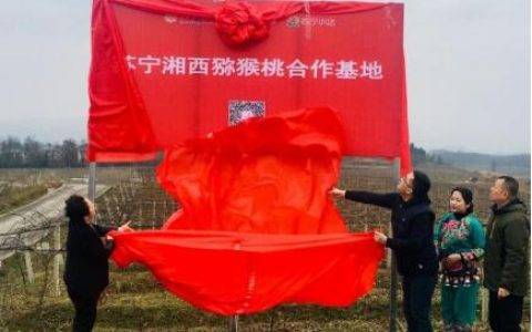 608苏宁拼购上线坏果包赔服务 向缺斤少两说“不”