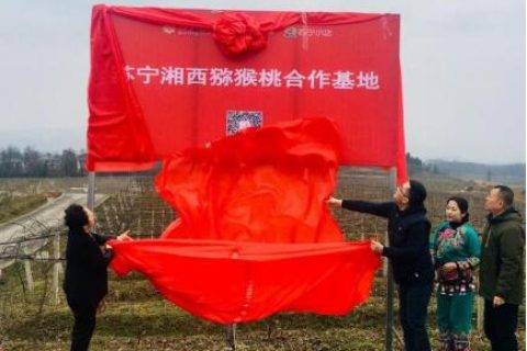 608苏宁拼购上线坏果包赔服务 向缺斤少两说“不”