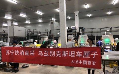 备货300吨，苏宁618首发乌兹别克斯坦车厘子