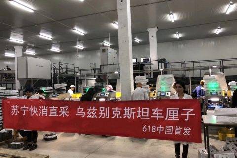 备货300吨，苏宁618首发乌兹别克斯坦车厘子