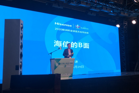 海信贾少谦：大动物都有安静的面貌