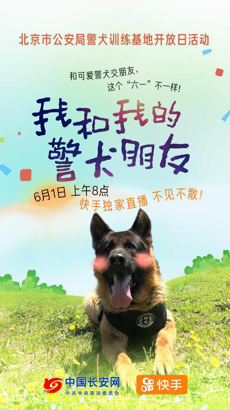平安北京和北京刑侦举办线下活动,走进北京警犬基地,和乖萌可爱又身怀