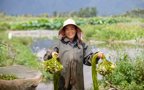 现实中的“水性杨花”正在濒危 阿里抢救濒危蔬菜 满足了吃货也救了物种