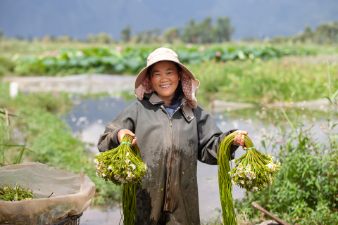 现实中的“水性杨花”正在濒危 阿里抢救濒危蔬菜 满足了吃货也救了物种
