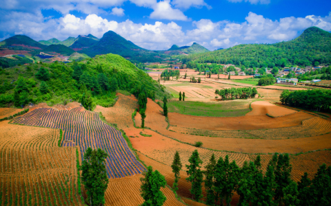 平台推动农业化产业升级，拼多多式的供给侧变革
