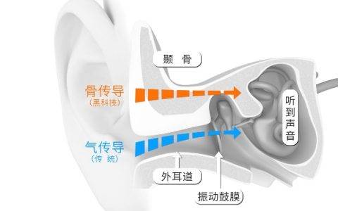 声来不凡，AfterShokz韶音2019新品发布