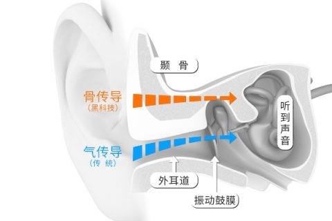声来不凡，AfterShokz韶音2019新品发布