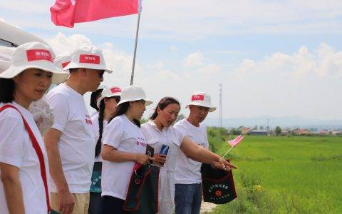 聚划算又要搞事情？大妈看地团火了，还要招募看矿团