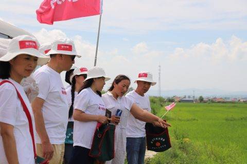 聚划算又要搞事情？大妈看地团火了，还要招募看矿团