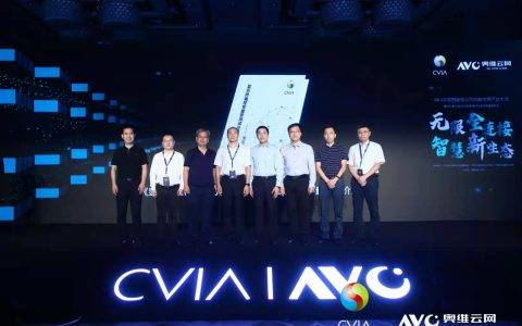 彩电发展直指高端布局，苏宁如何未卜先知？