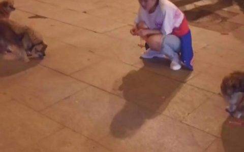 快手最美异地恋！聋哑情侣手语恋爱450天领证结婚