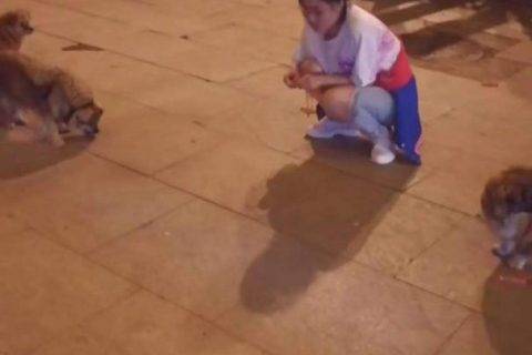快手最美异地恋！聋哑情侣手语恋爱450天领证结婚