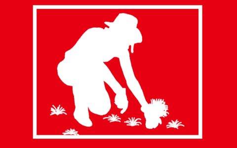 苏宁818拼购日：60%订单来自四六线城市