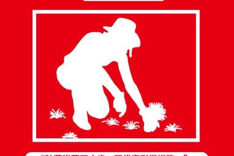 苏宁818拼购日：60%订单来自四六线城市