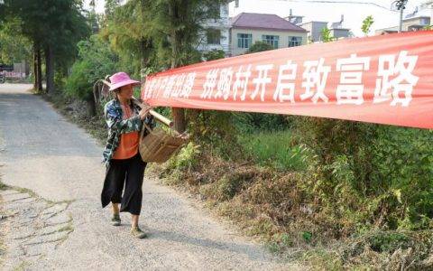 出租车司机转型做苏宁拼购 日产3000件童装棉服带村民致富