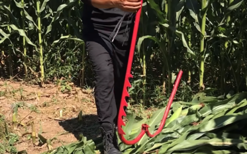 快手直播 现场接单 农具研发小能手有了“超大”用武之地