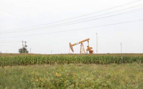 一条毛巾日销3万单 河北高阳南路台村决心搞定“拼购村”