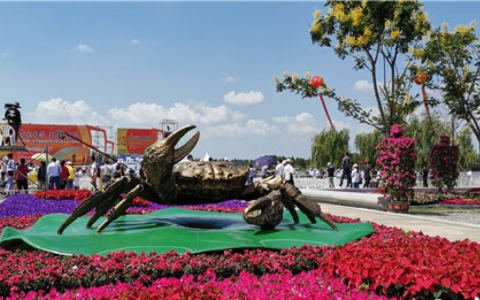 吃螃蟹正当时 苏宁拼购签约“蟹中之冠”金甲王大闸蟹