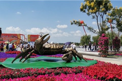 吃螃蟹正当时 苏宁拼购签约“蟹中之冠”金甲王大闸蟹