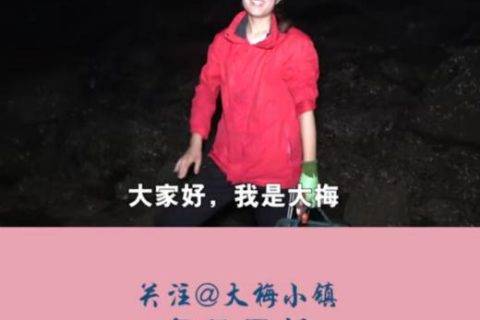 快手赶海 海边人家的新生意经