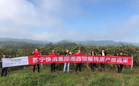 苏宁双十一打出电商扶贫组合拳：千亩湘西猕猴桃直供基地揭牌