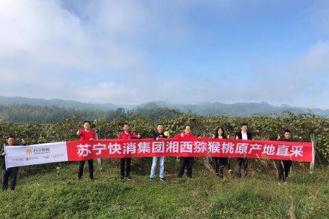 苏宁双十一打出电商扶贫组合拳：千亩湘西猕猴桃直供基地揭牌