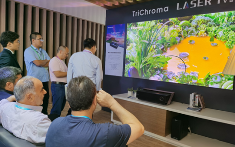 牵头立项量子点显示国际标准，“定标常客”海信再下一池