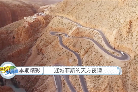 VFine与CCTV发现之旅《世界多美丽》栏目达成合作 加强电视节目音乐版权保护