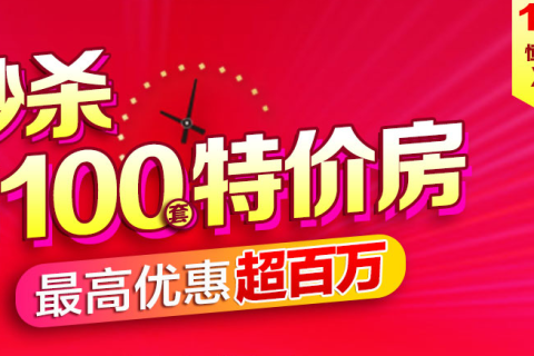 10秒预定一套房，苏宁恒大双十一光速卖房