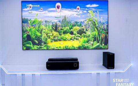 彩电行业迎来寡头：海信电视连续10个月市场占比超20%