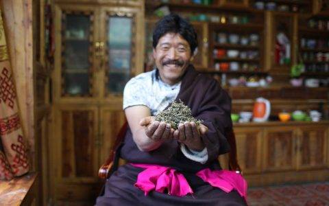 只有两颗红心的小网店，为何值得阿里挺进青藏高原，还请来薇娅带货？