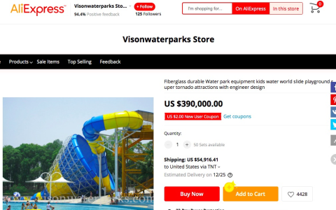 阿里巴巴全球化的极致体验被点赞，海外“黑五”买出新花样