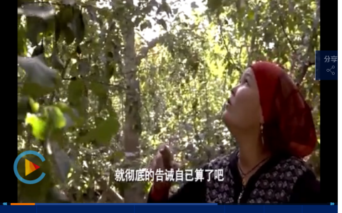 BBC的纪录片都不如它：看中国小村庄里迸发大能量