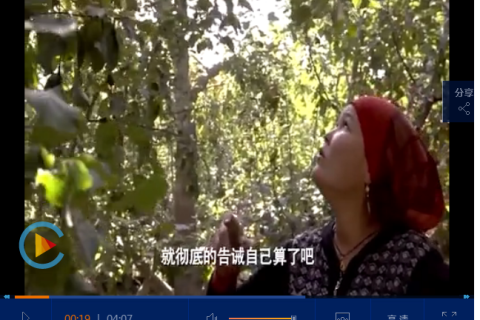 BBC的纪录片都不如它：看中国小村庄里迸发大能量