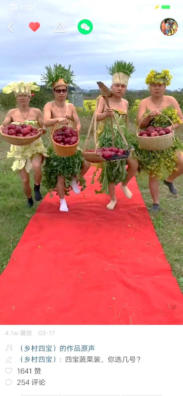 蔬果、编织袋做“走秀战袍”？“乡村四宝”原创T台秀亮相快手打通线上销售渠道